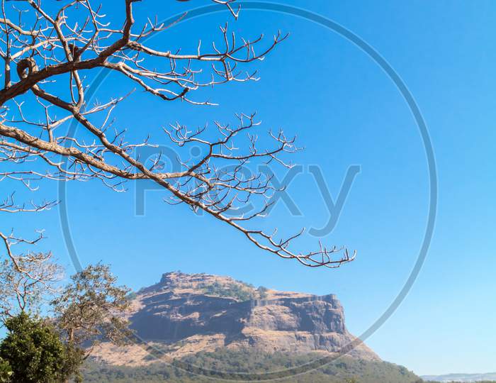 Tree Branches Against Blue Sky With A Mountain In The Background