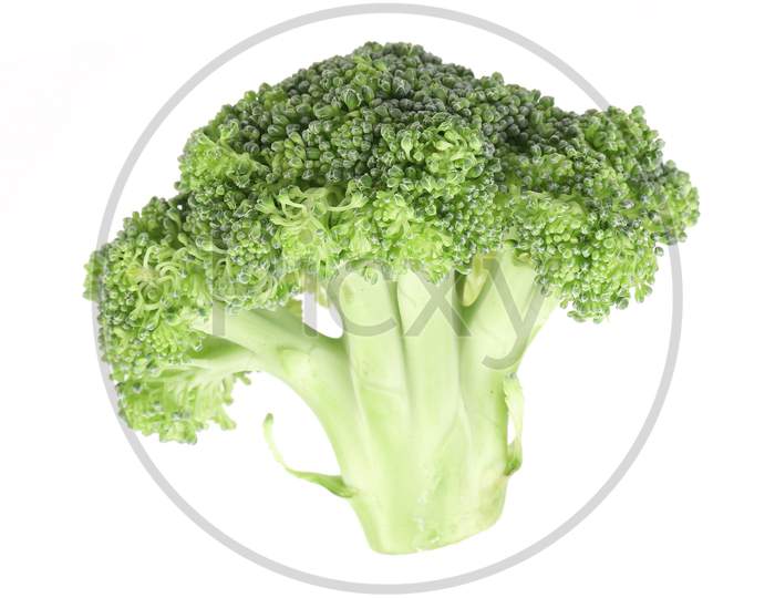 Close Up Of Fresh Broccoli. Isolated On A White Background.