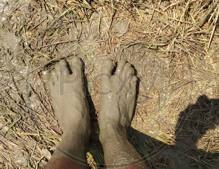 Feet of a farmer covered with mud 