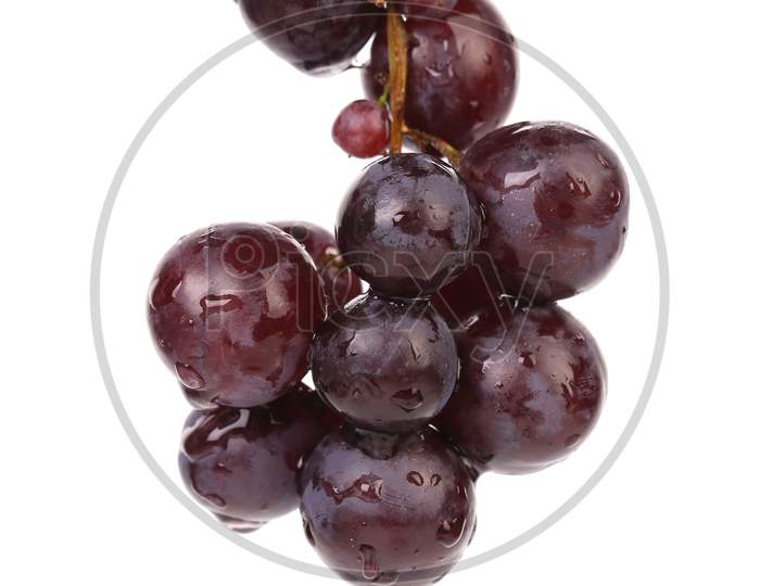 Bunch Of Ripe And Juicy Black Grapes. Isolated On A White Background.