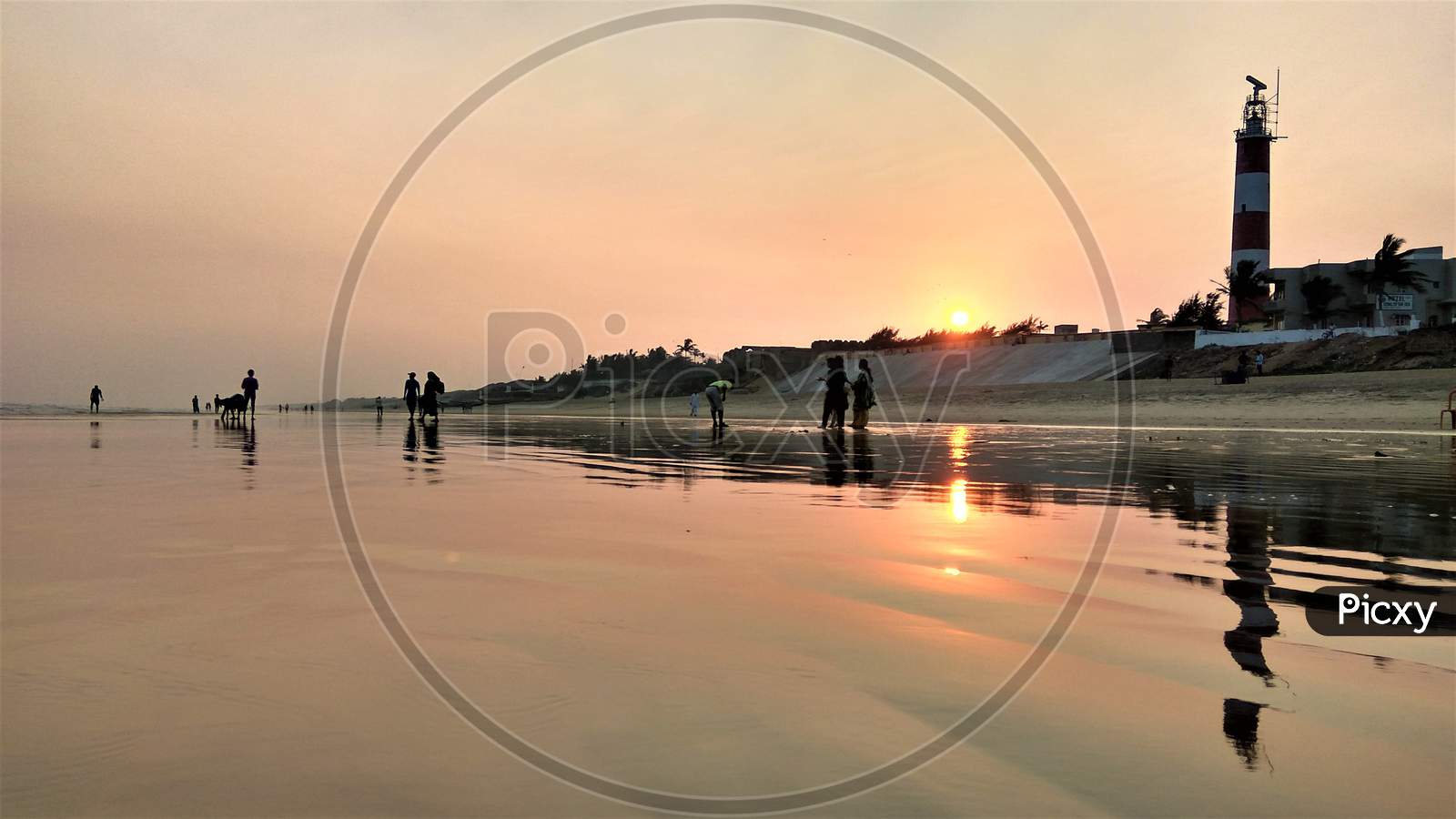 People playing at Sea Beach during sunset