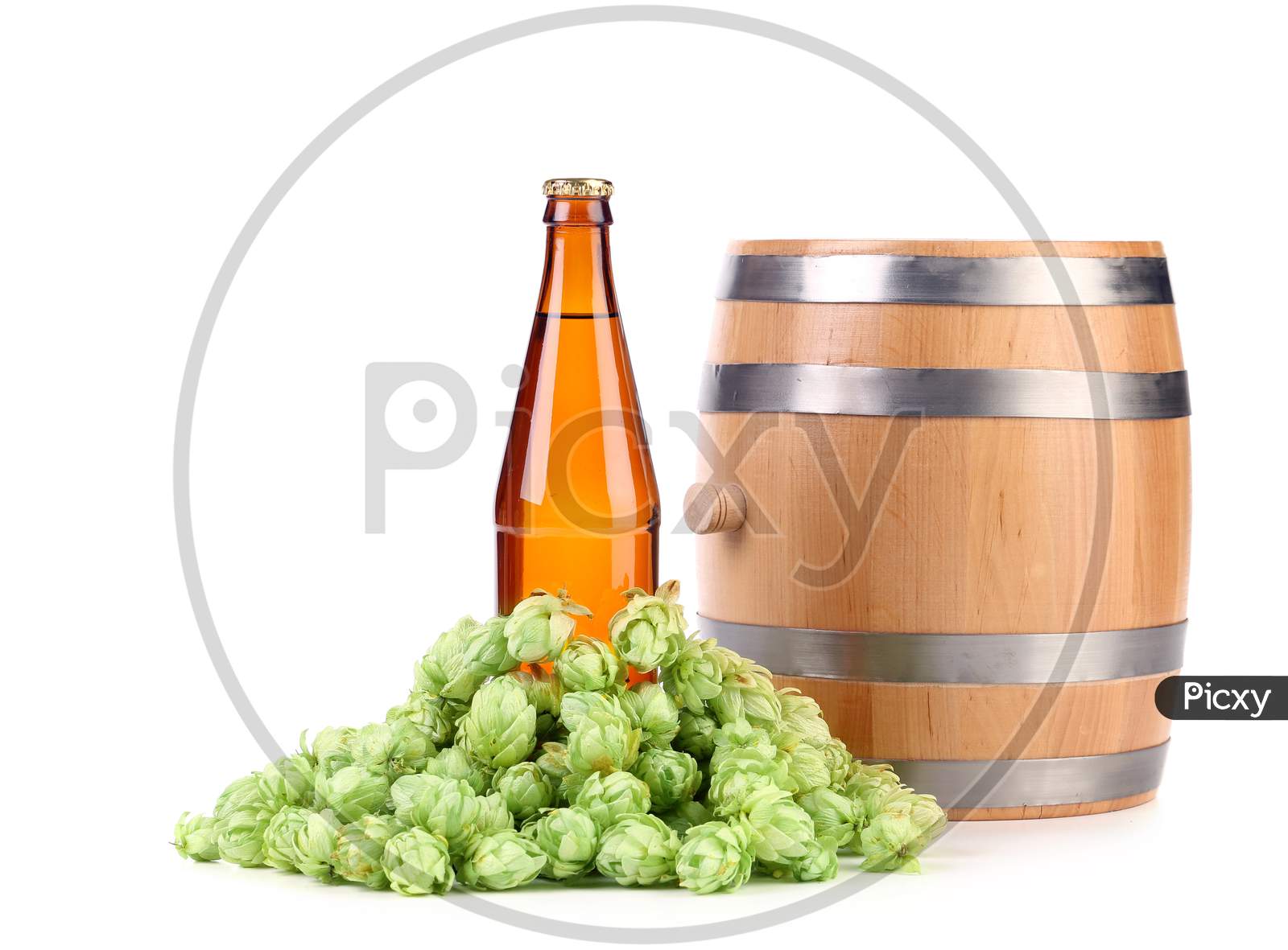 Barrel And Bottle Of Beer With Hop. Isolated On A White Background.
