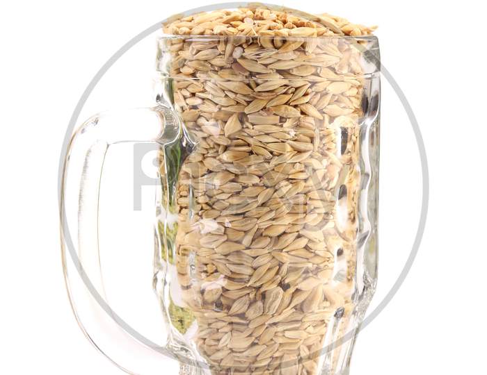 Beer Mug With Barley. Isolated On A White Background. Place For Text.