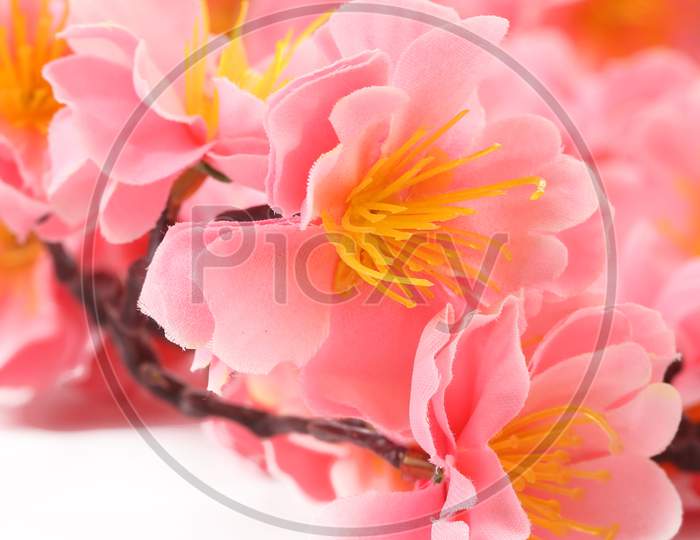 Close Up Of Spring Pink Flowers. Whole Background.