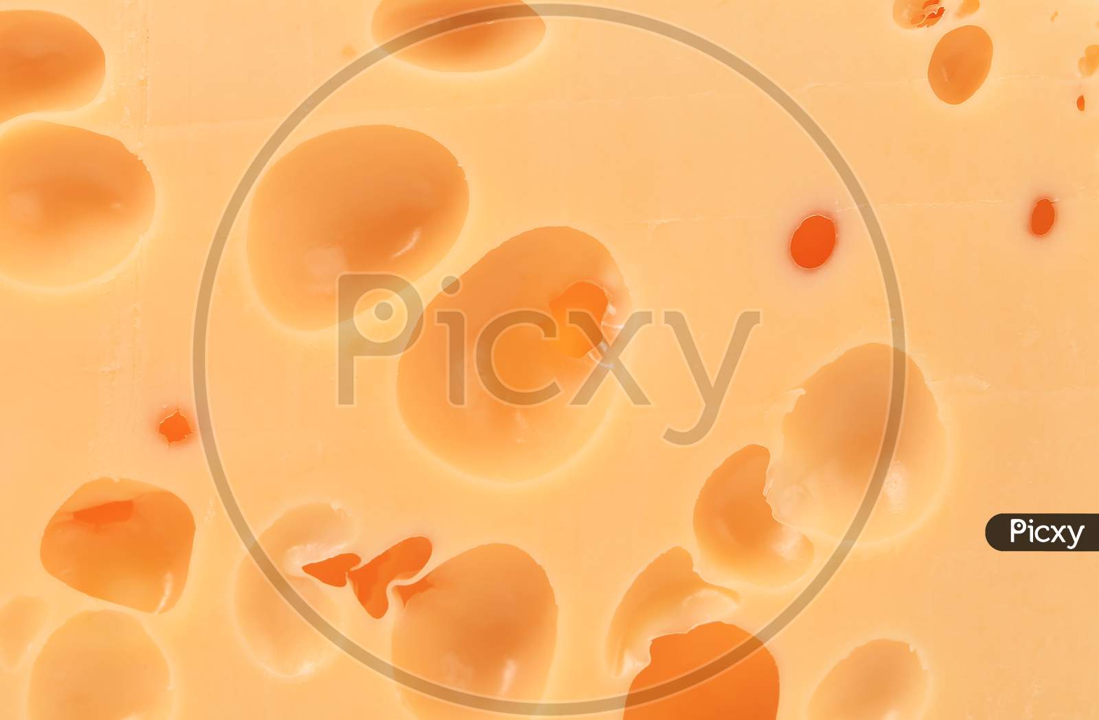 Close Up Of Cheese Texture. Whole Background.