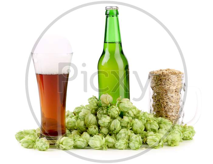 Composition Of Hop And Barley. Isolated On A White Background.