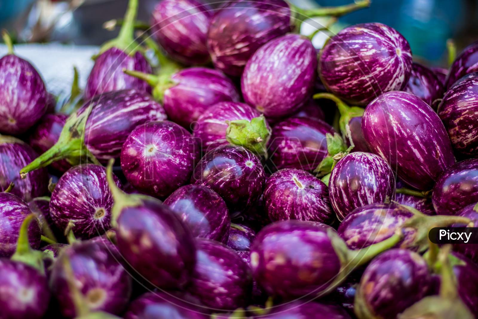Top-Down View Of A Heap Of Brinjals On Market .The Name As Called Egg Fruit, Aubergine, Solanum Melongena For Sale In A Vegetable Market. Overhead Composition And Top View. Indian Street Market