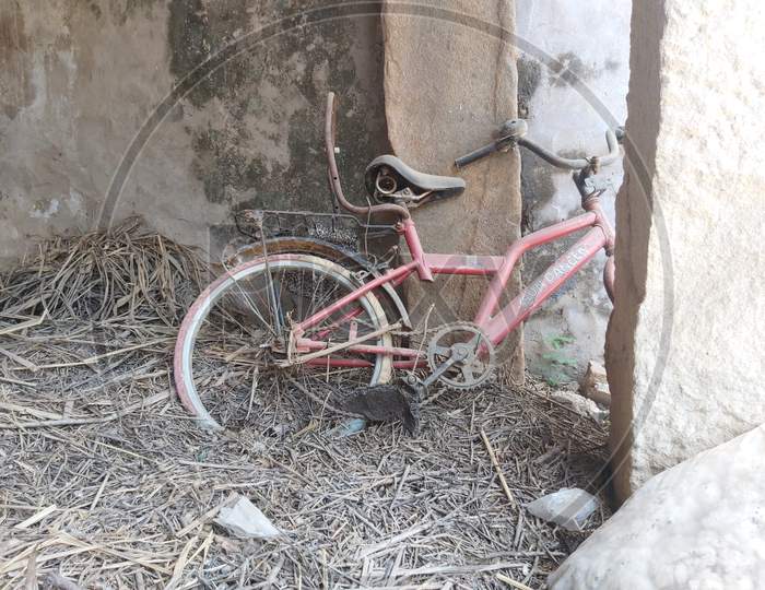 old bicycle in the dried grass.