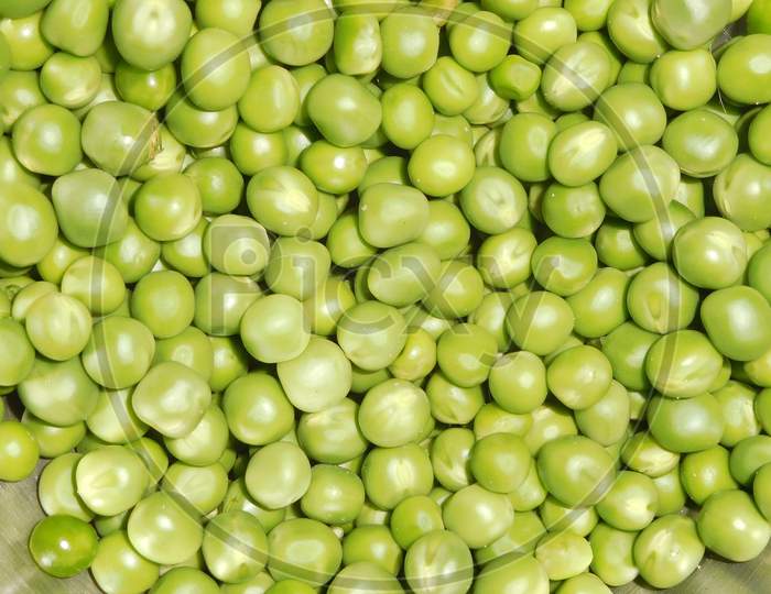 Fresh Green Peas Closeup Forming a Background
