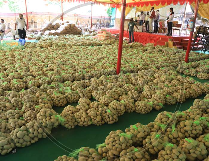 Potatoes  Being  Packed in Bags For Distribution To Poor people  During Lockdown For Corona Virus Or COVID-19  Pandemic in India, Prayagraj.