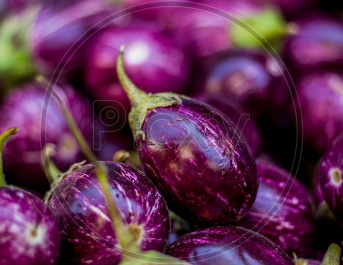 Close Up View Of A Heap Of Brinjals in Market .The Name As Called Egg Fruit, Aubergine, Solanum Melongena For Sale In A Vegetable Market. Close Up On Indian Street Market