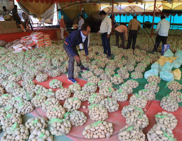 Government Employees Picking Potato Bags For Distribution to Poor People During Lockdown Period For Corona Virus Or COVID-19 Pandemic In India. Prayagraj
