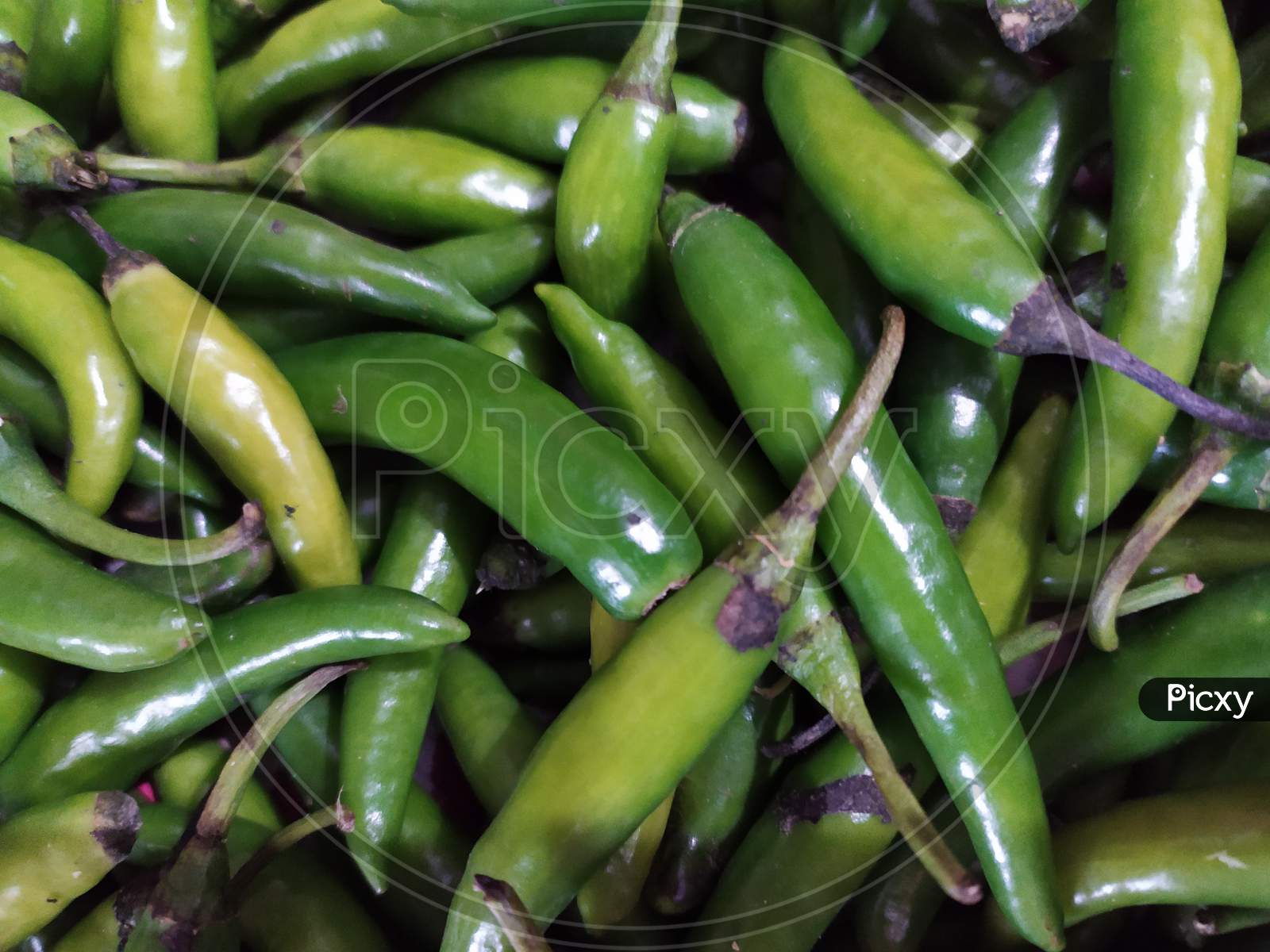 Green Chilies Closeup Forming a Background