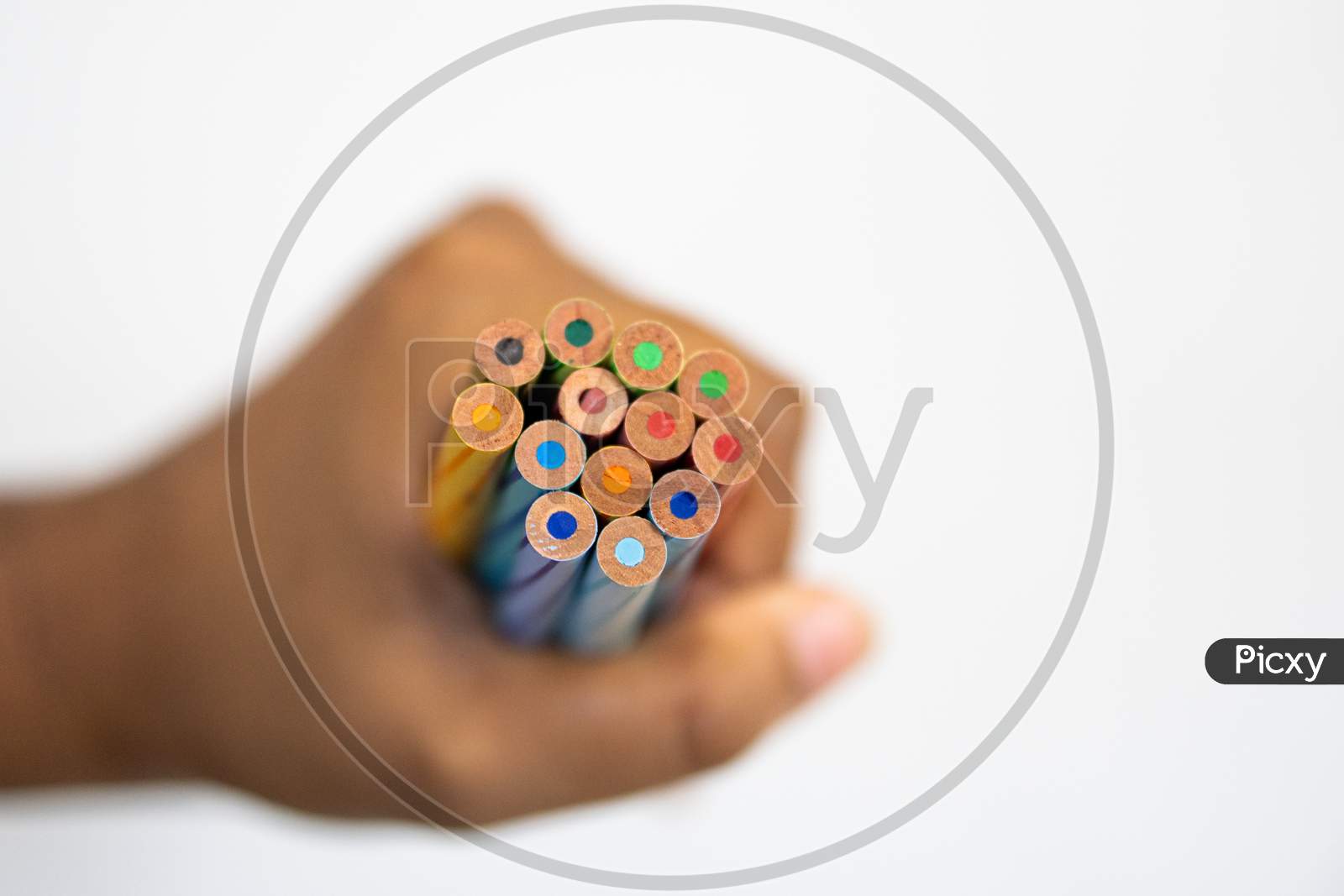 Color Pencils in a Fist On white Background Showing Unity