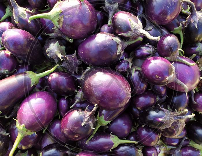 Eggplant Or Brinjal Closeup Forming a Background