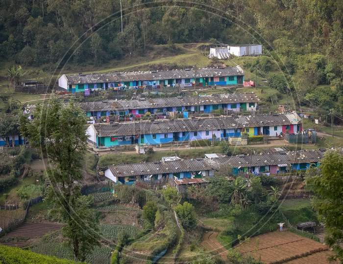 Tea Plantation Workers Homes or Camp Stations in Munnar