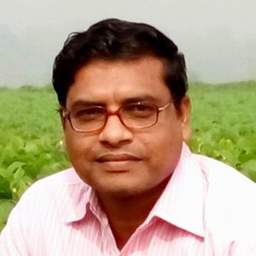 Profile picture of Nandalal Sarkar on picxy