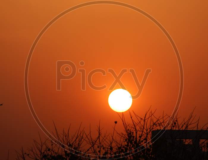 sunset silhouette with natural tree background