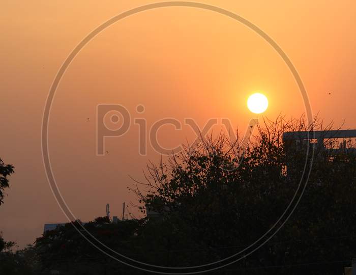 sunset silhouette with natural tree background