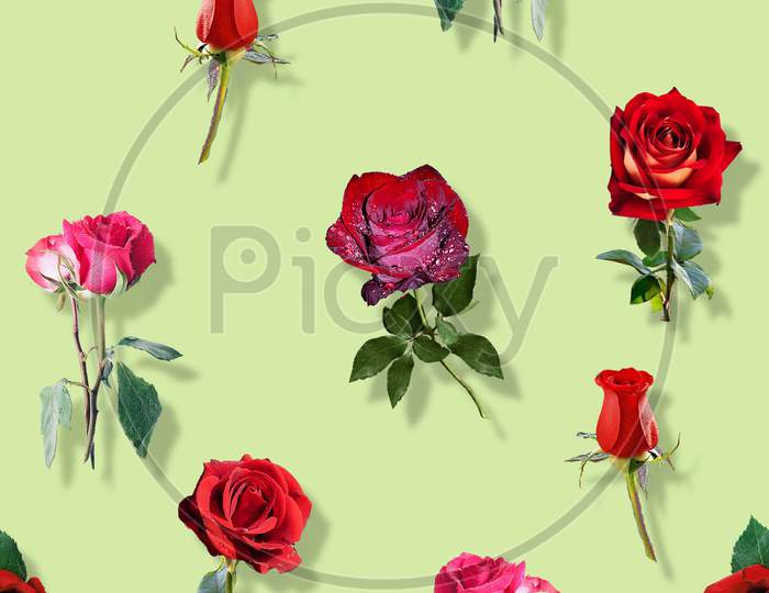 Rose Flower Allover Print