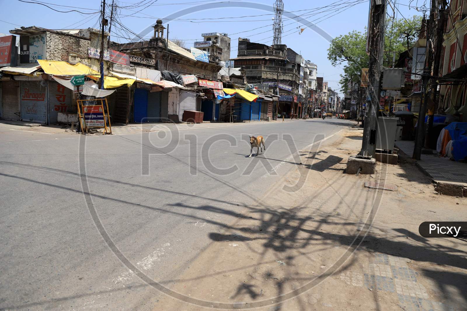 A Dog Running On Empty Road During A Nationwide Lockdown To Slow The Spreading Of The Coronavirus Disease (Covid-19), In Prayagraj, April, 18, 2020.