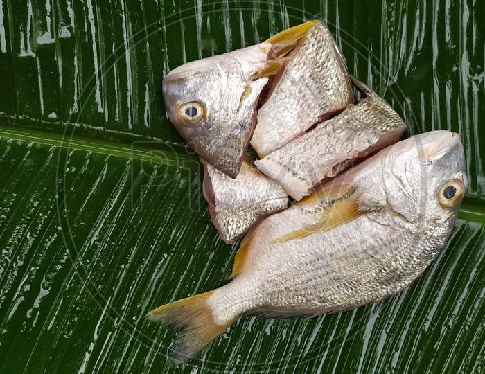 Fish on banana leaf