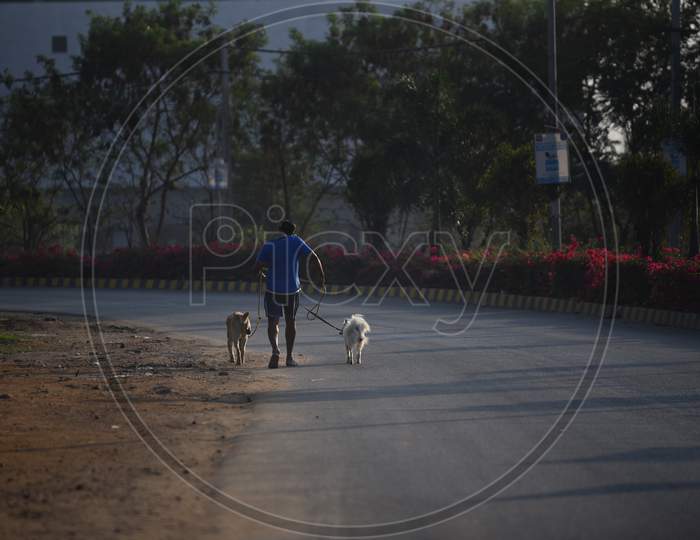 a man takes his pet dogs out for a walk breaking the lockdown rules