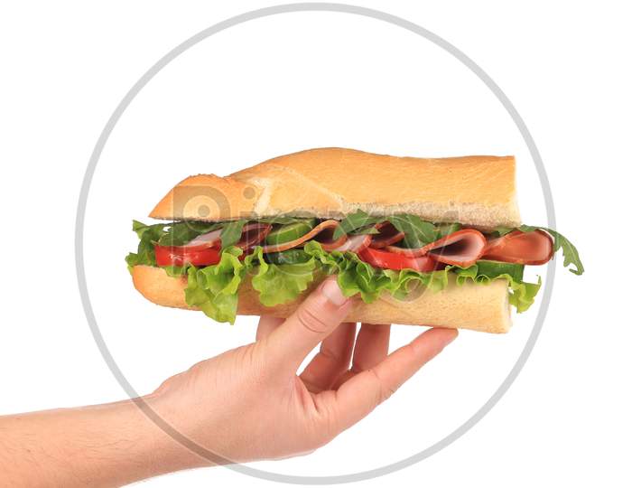 Half Of French Baguette Sandwich In Hand. Isolated On A White Background.