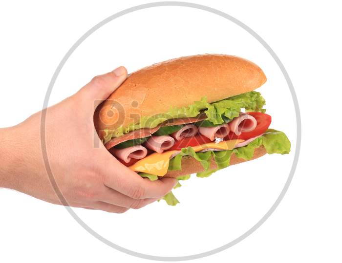 Hand Holds French Baguette Sandwich. Isolated On A White Background.