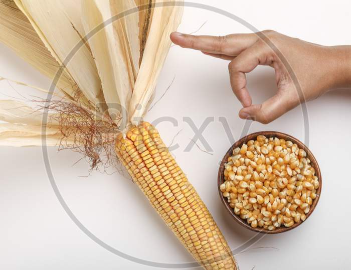 Dried Corn Seeds In Bowl On White Background ,