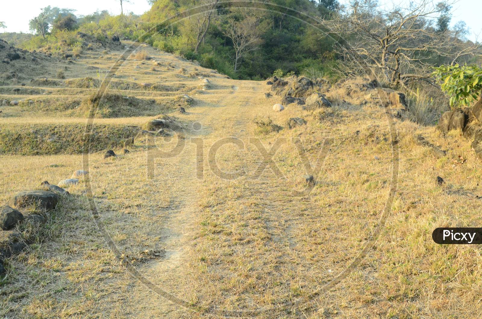 Human Path Unreconstructed Line Towards River Beas Hamirpur Himachal Pradesh India