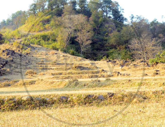 Hill View Of  View Towards River Beas Himachal Pradesh India