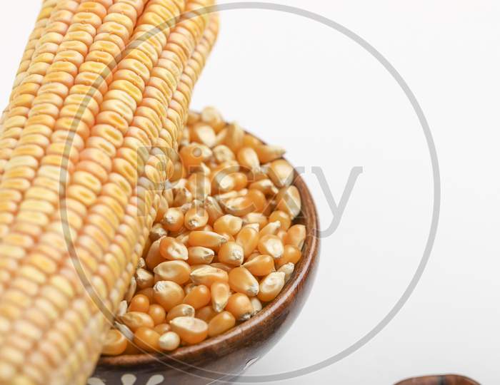 Dried Corn Seed On White Background. Grains Of Ripe Corn ,