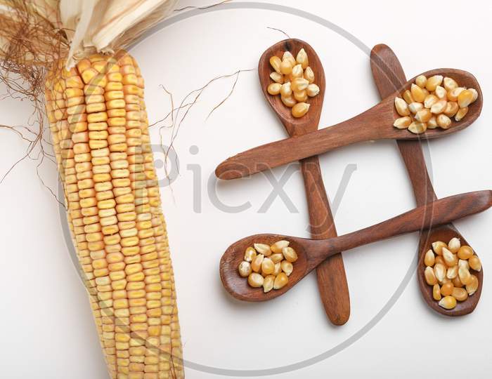 Dried Corn Seeds In Spoon On White Background ,