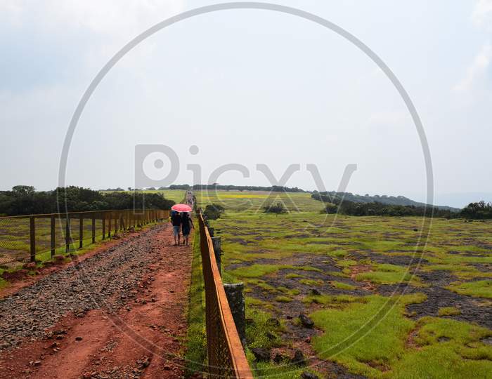 Visitors Or Tourists In Kaas Plateaus enjoying The Landscapes Views of Seasonal Wild Flowers Blooming
