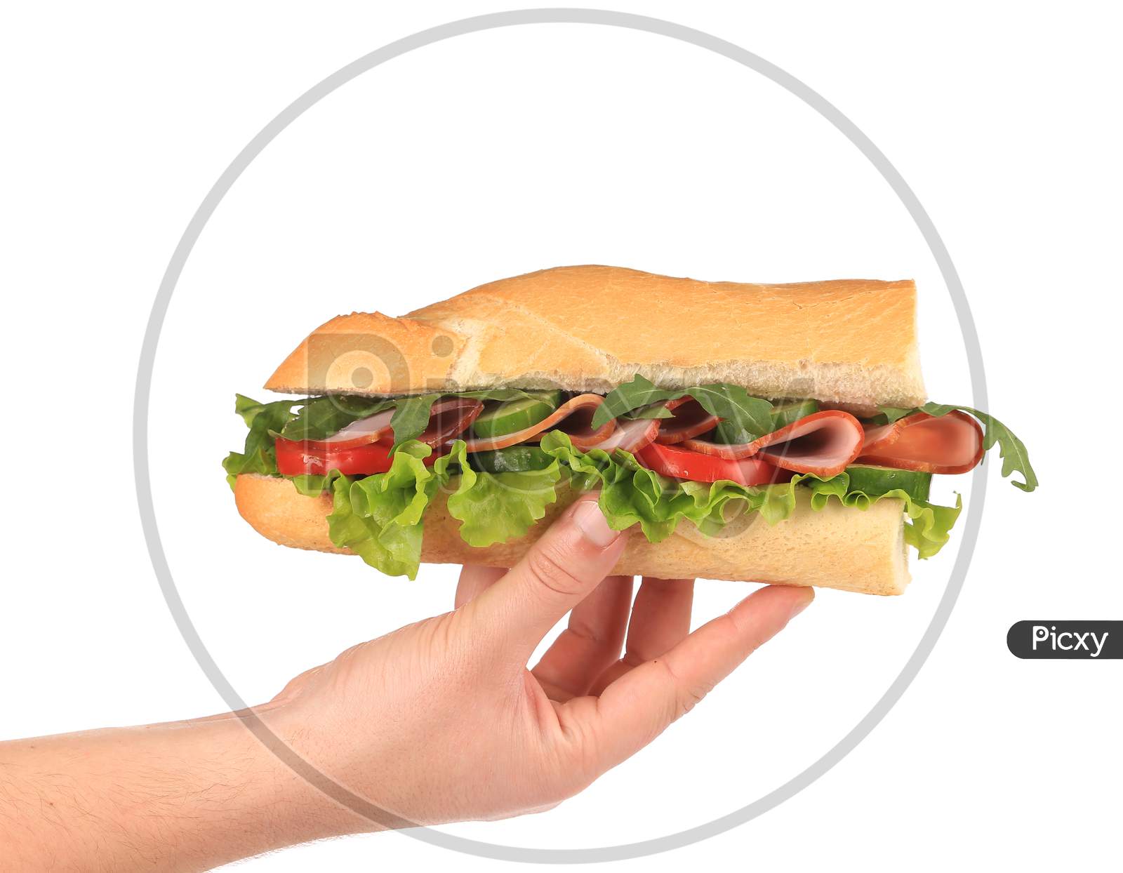 Half Of French Baguette Sandwich In Hand. Isolated On A White Background.