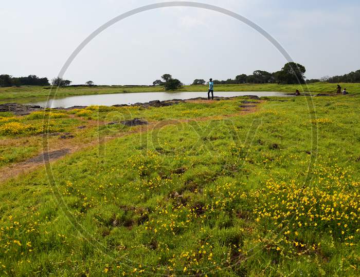 Visitors Or Tourists Enjoying The Landscape Views of Tropical Lake And Seasonal Wild Flowers Blooming  in Kaas Plateau, Maharashtra