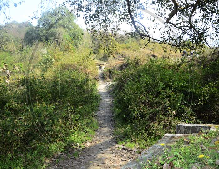 Human Pathway In Kaloor Hamirpur Himachal Pradesh India