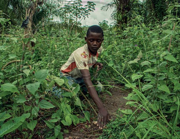 A Pygmy from East of Cameroon setting up a trap for rat mole, or porcupine, Little boy in a bush