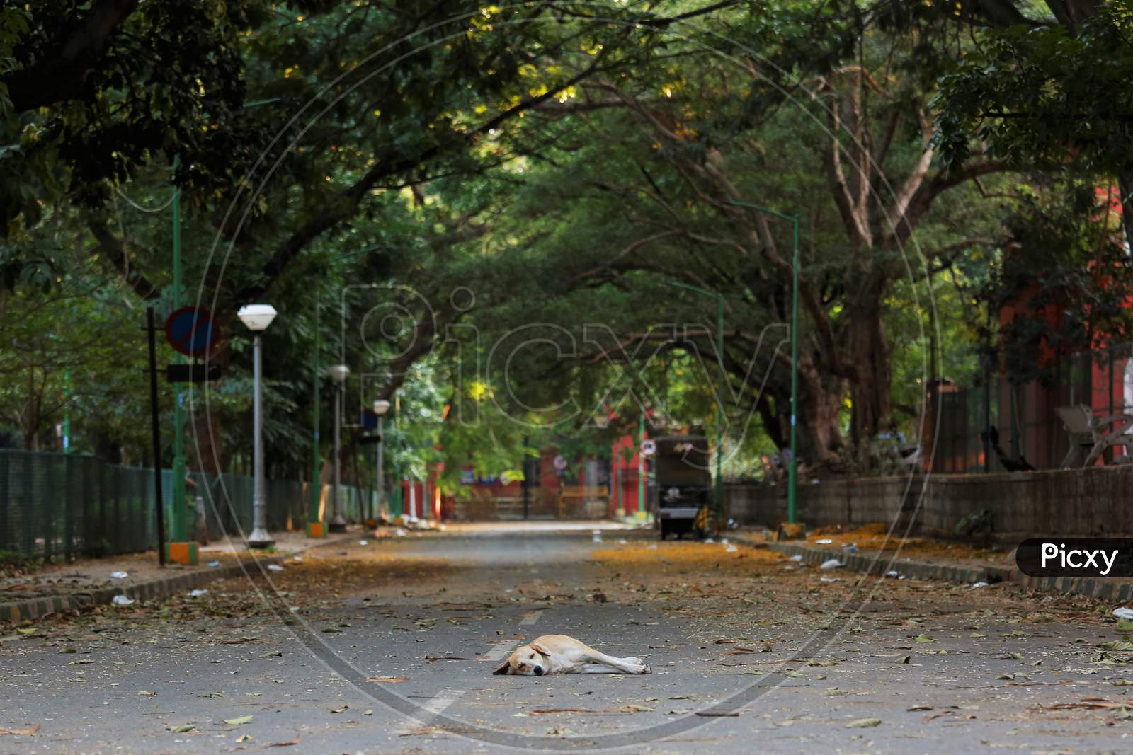 A View of Deserted Roads in Bangalore City During Lockdown  Period For Corona Virus or COVID-19 Pandemic,Bangalore