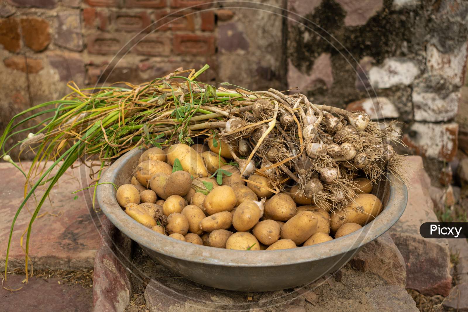 fresh potatoes and garlic