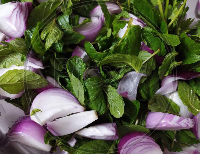 Mint Leaves And Sliced Onion Closeup Forming a Background
