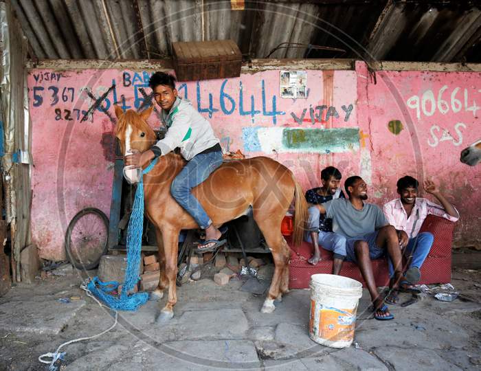 A Man Sitting on Horse and having Fun During Lockdown period For Corona Virus or COVID-19 Pandemic