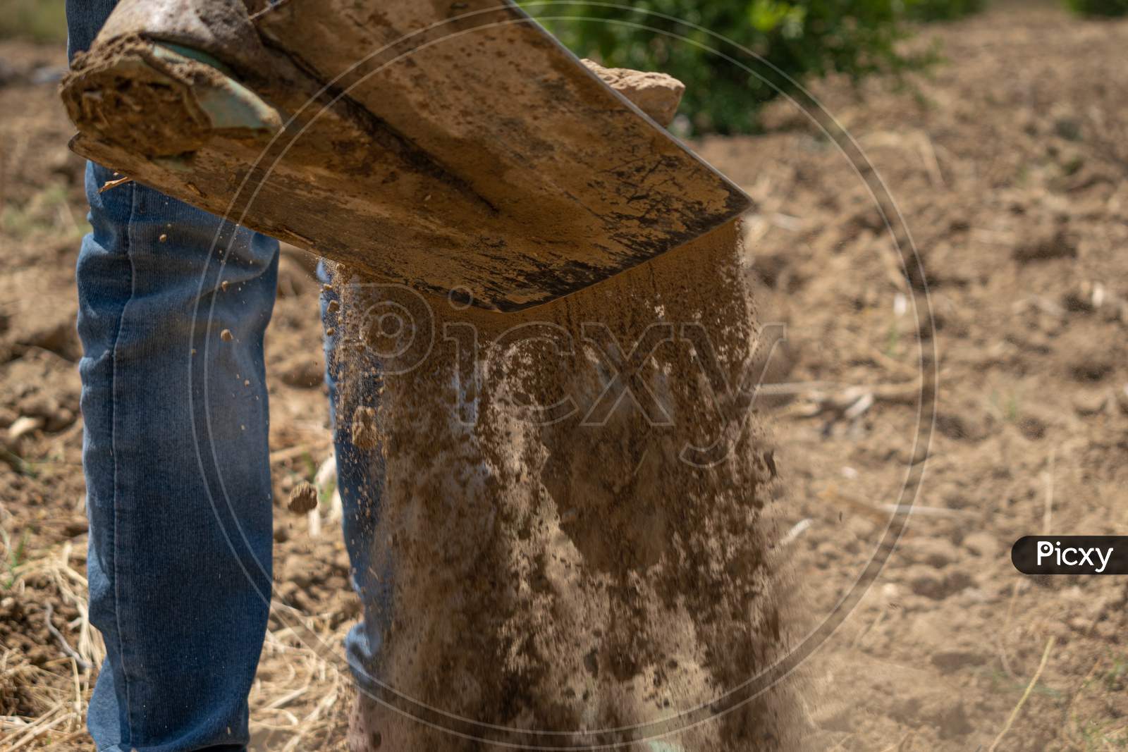 A farmer using a spade during irrigation
