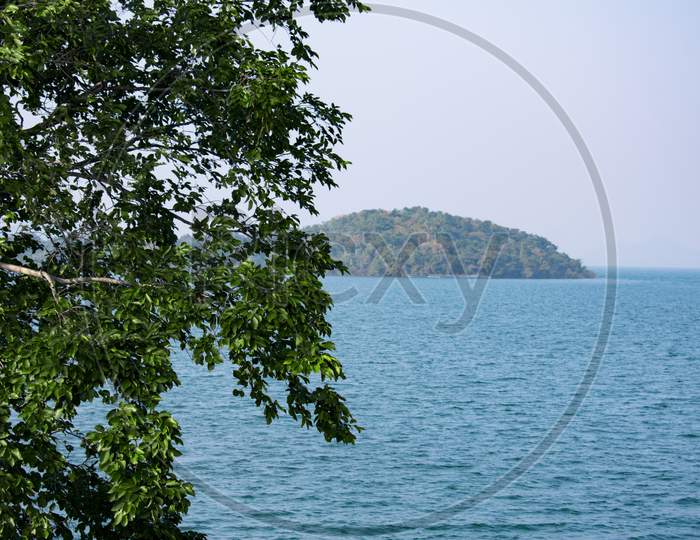 A Lake With An Island In The Middle And A Green Tree In The Foreground With Selective Focus