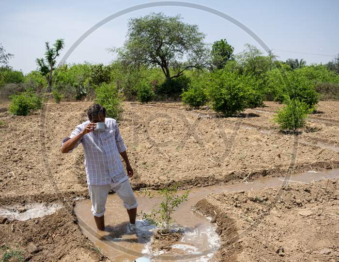A farmer drinking water during the irrigation of lemon's plants at his farm