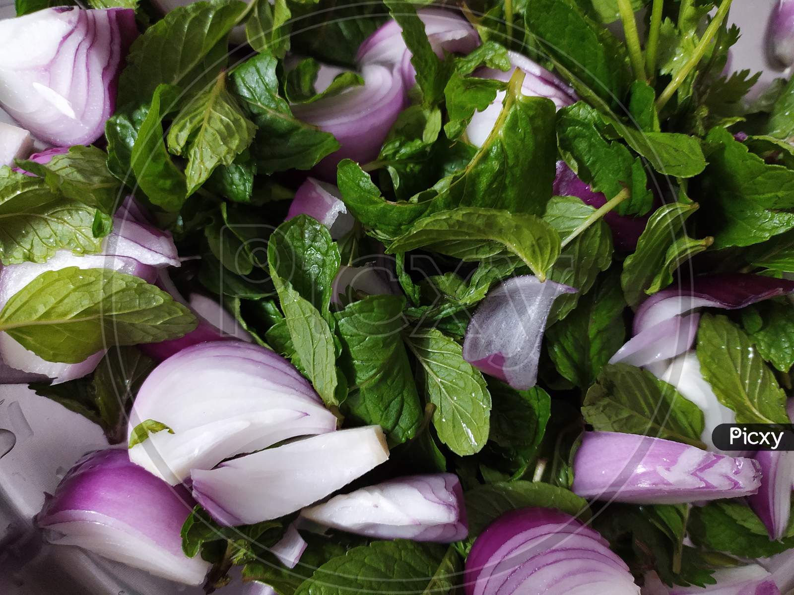 Mint Leaves And Sliced Onion Closeup Forming a Background