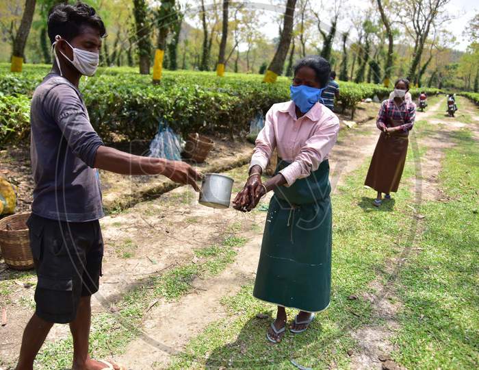 Tea Plantation Worker Wash Hands Before  Picking Leaves  During A Nationwide Lock down In The Wake Of Corona virus(COVID-19)  Pandemic At  Nonoi Tea Estate  In Nagaon District Of Assam On April 21,2020.
