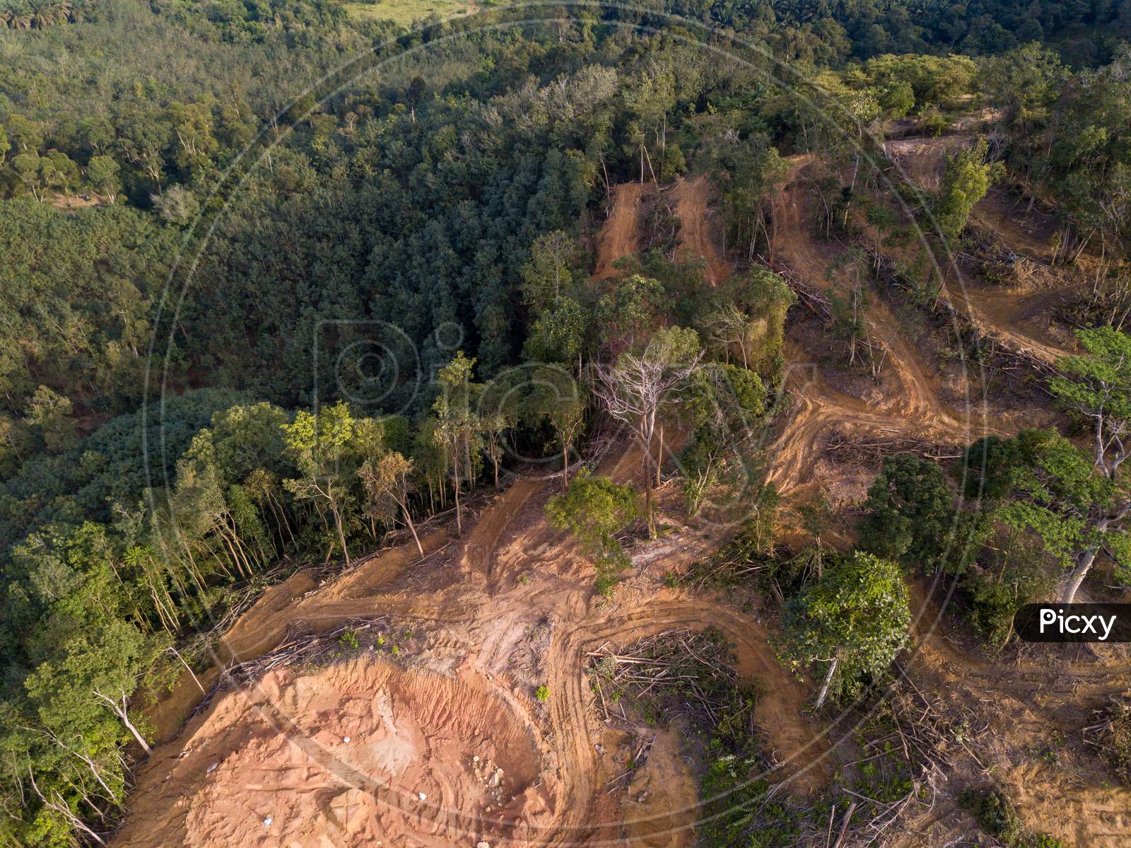 Aerial View Deforestation Activity Is Carried Out For Development.