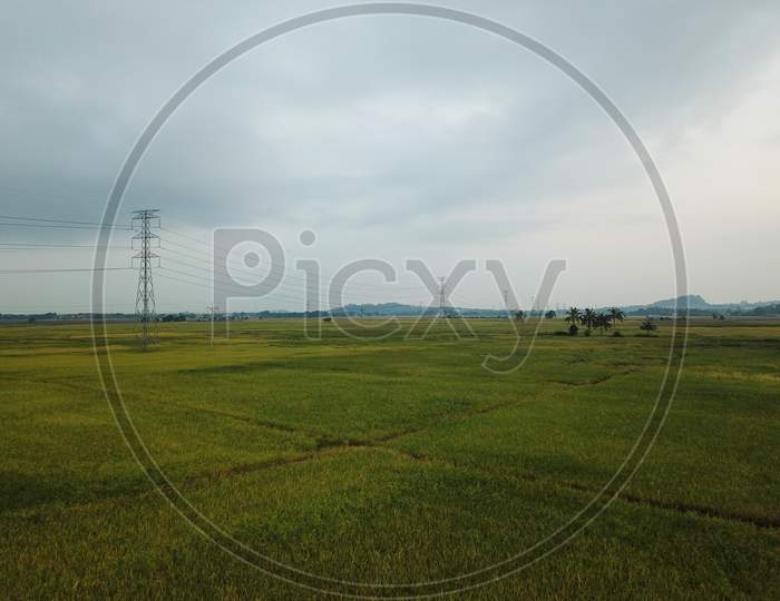 Aerial View Agricultural Paddy Field With Electric Tower.
